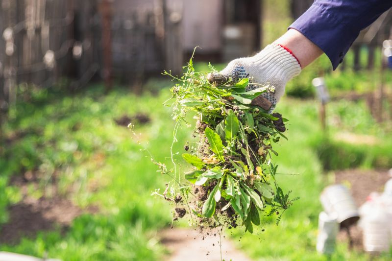 Gardening And Weeding